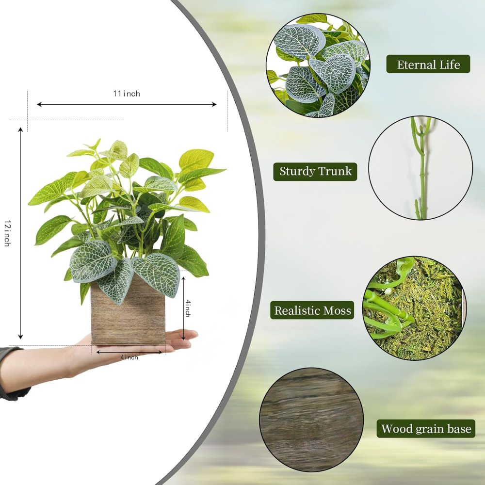 Set of two small eucalyptus potted plants for desk or coffee table decor - Image 2